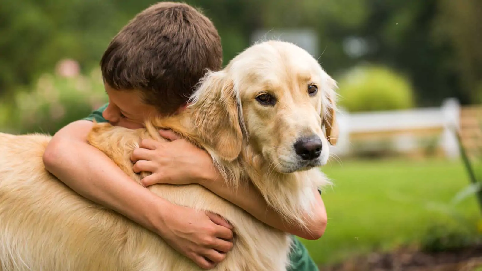 save animals